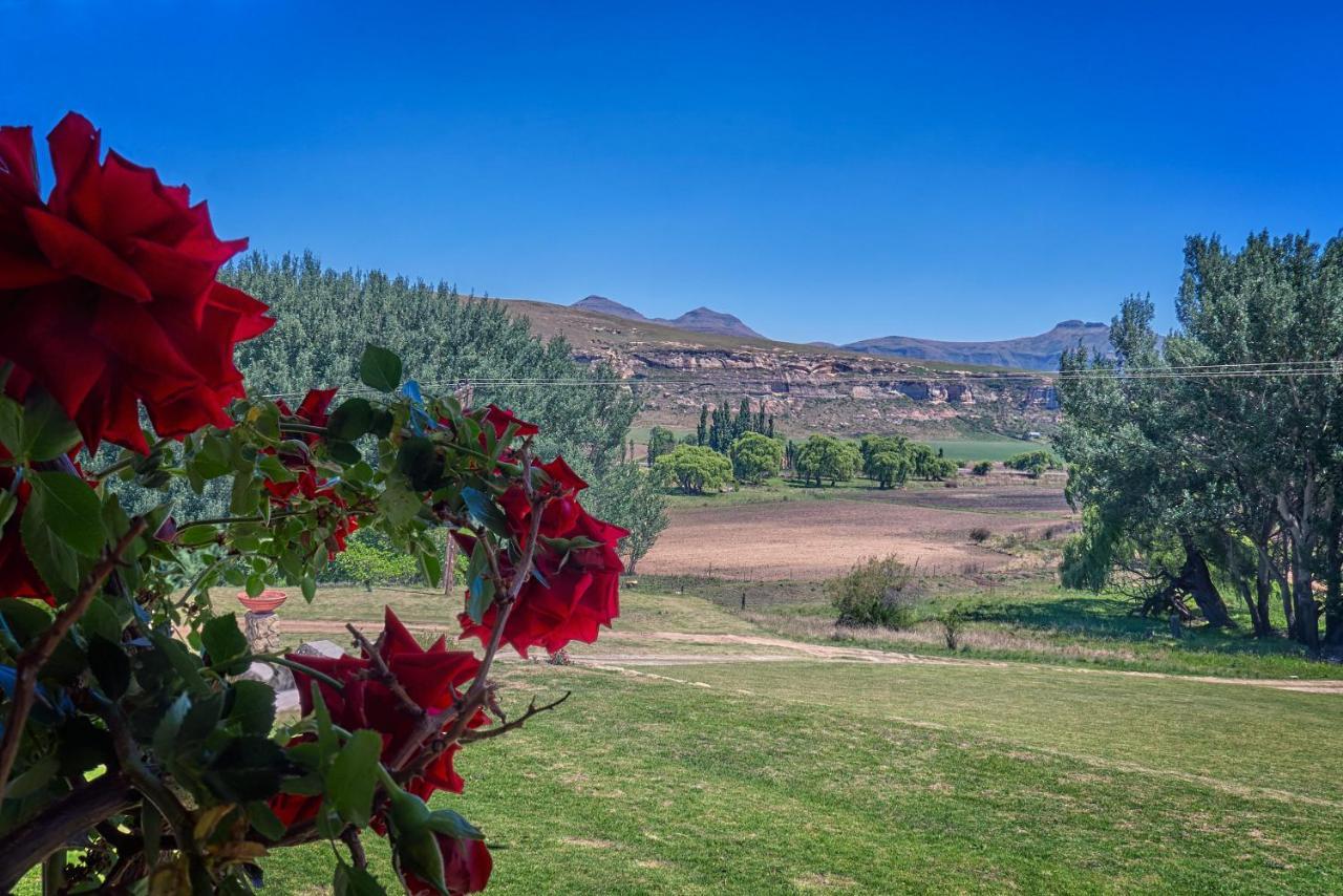 Linwood Guest Farm Guest House Clarens Exterior photo